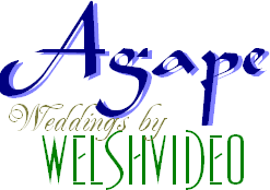 Agape wedding videos for Chicago