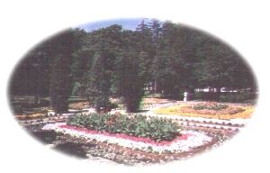 Garden on the Cuneo grounds